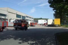 DSCF0781